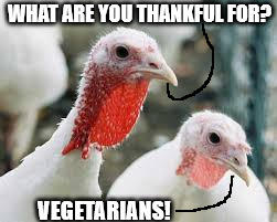 Thanksgiving | WHAT ARE YOU THANKFUL FOR? VEGETARIANS! | image tagged in thanksgiving | made w/ Imgflip meme maker