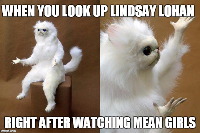 Persian Cat Room Guardian Meme | WHEN YOU LOOK UP LINDSAY LOHAN; RIGHT AFTER WATCHING MEAN GIRLS | image tagged in memes,persian cat room guardian | made w/ Imgflip meme maker
