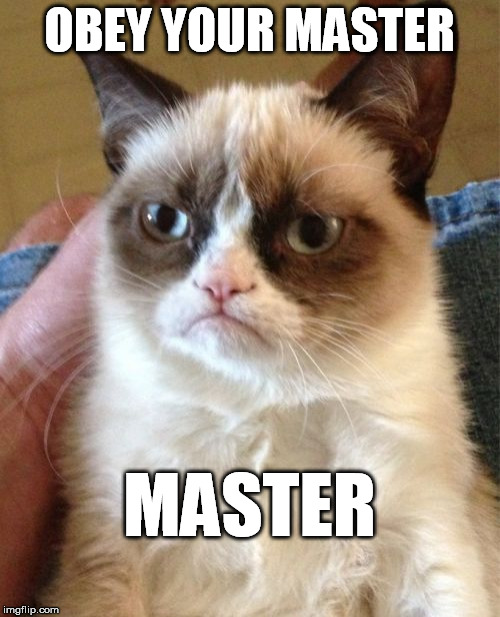 Grumpy Cat Meme | OBEY YOUR MASTER MASTER | image tagged in memes,grumpy cat | made w/ Imgflip meme maker