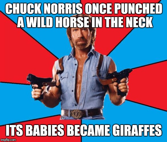 Chuck Norris With Guns Meme | CHUCK NORRIS ONCE PUNCHED A WILD HORSE IN THE NECK; ITS BABIES BECAME GIRAFFES | image tagged in memes,chuck norris with guns,chuck norris | made w/ Imgflip meme maker