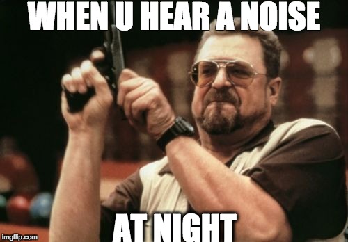 Am I The Only One Around Here | WHEN U HEAR A NOISE; AT NIGHT | image tagged in memes,am i the only one around here | made w/ Imgflip meme maker