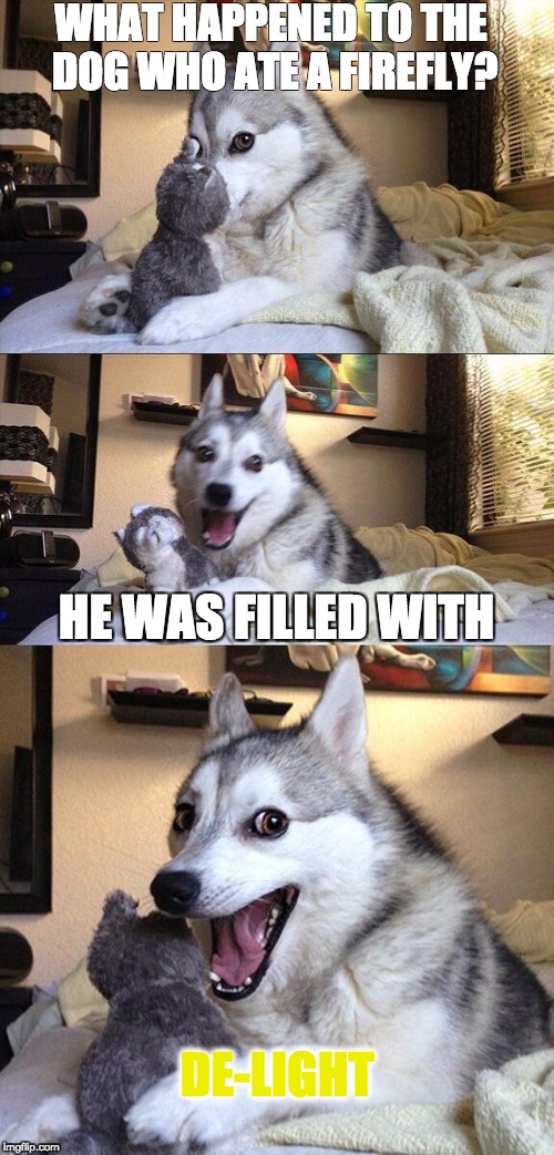 Bad Pun Dog Meme | WHAT HAPPENED TO THE DOG WHO ATE A FIREFLY? HE WAS FILLED WITH; DE-LIGHT | image tagged in memes,bad pun dog | made w/ Imgflip meme maker