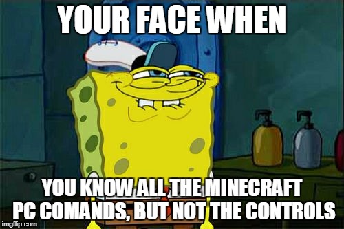 learn how to minecraft | YOUR FACE WHEN; YOU KNOW ALL THE MINECRAFT PC COMANDS, BUT NOT THE CONTROLS | image tagged in memes,dont you squidward | made w/ Imgflip meme maker