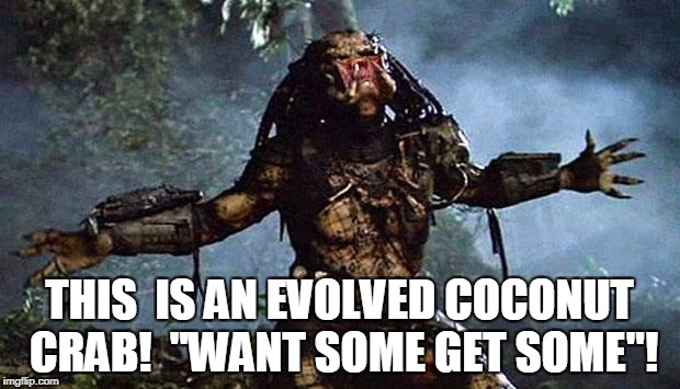 Predator | THIS  IS AN EVOLVED COCONUT CRAB!  "WANT SOME GET SOME"! | image tagged in predator | made w/ Imgflip meme maker