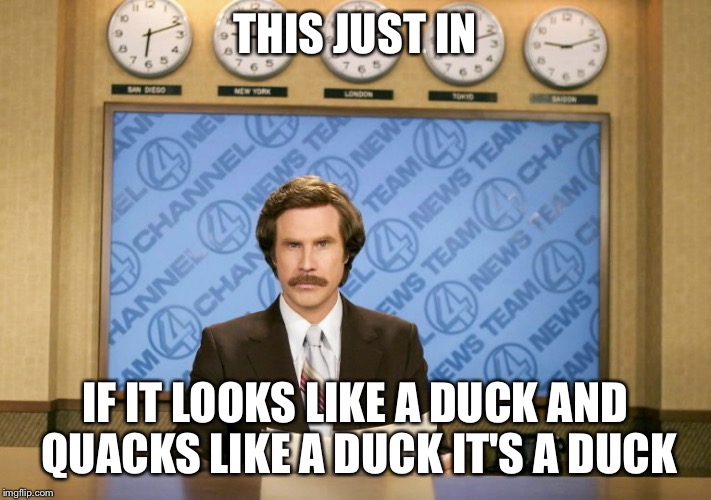 THIS JUST IN IF IT LOOKS LIKE A DUCK AND QUACKS LIKE A DUCK IT'S A DUCK | made w/ Imgflip meme maker