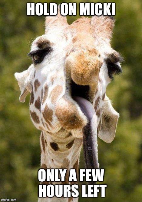 Silly giraffe | HOLD ON MICKI; ONLY A FEW HOURS LEFT | image tagged in silly giraffe | made w/ Imgflip meme maker