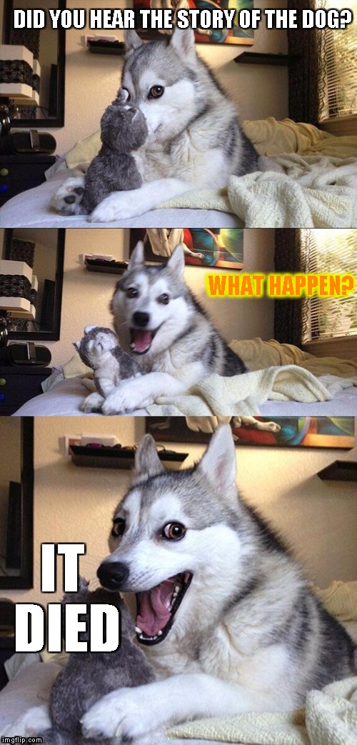 Bad Pun Dog Meme | DID YOU HEAR THE STORY OF THE DOG? WHAT HAPPEN? IT DIED | image tagged in memes,bad pun dog | made w/ Imgflip meme maker