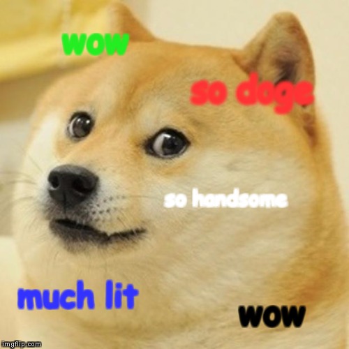 Doge Meme | wow; so doge; so handsome; much lit; wow | image tagged in memes,doge | made w/ Imgflip meme maker