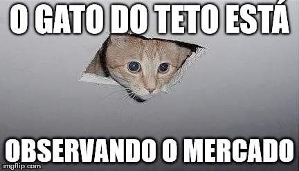 Meme De Gato On Twitter Casairmaosneto Tadinho Do Bruno