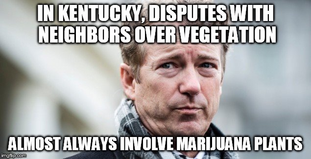 dispute | IN KENTUCKY, DISPUTES WITH NEIGHBORS OVER VEGETATION; ALMOST ALWAYS INVOLVE MARIJUANA PLANTS | image tagged in rand paul | made w/ Imgflip meme maker