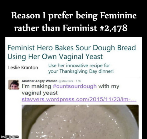 image tagged in why i am not a feminist 2,478 | made w/ Imgflip meme maker
