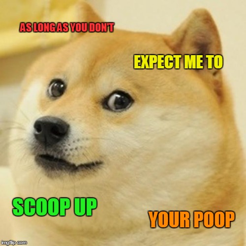 Doge Meme | AS LONG AS YOU DON'T EXPECT ME TO SCOOP UP YOUR POOP | image tagged in memes,doge | made w/ Imgflip meme maker