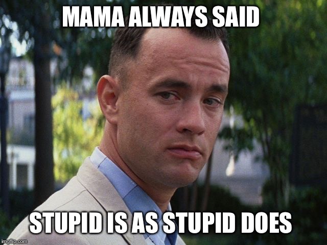 MAMA ALWAYS SAID STUPID IS AS STUPID DOES | made w/ Imgflip meme maker