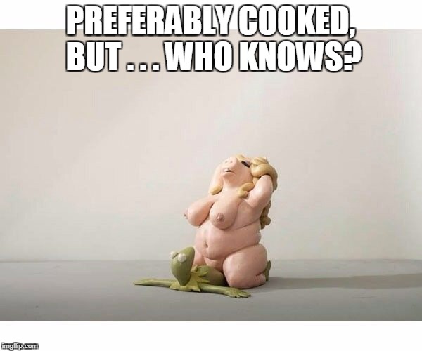 PREFERABLY COOKED, BUT . . . WHO KNOWS? | made w/ Imgflip meme maker