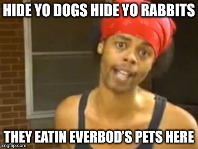 When the kitchen staff finds a loose pet bunny | HIDE YO DOGS HIDE YO RABBITS; THEY EATIN EVERBOD’S PETS HERE | image tagged in memes,hide yo kids hide yo wife,pets,rabbits | made w/ Imgflip meme maker