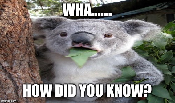 WHA....... HOW DID YOU KNOW? | made w/ Imgflip meme maker