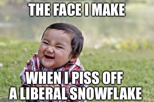 Evil Toddler Meme | THE FACE I MAKE; WHEN I PISS OFF A LIBERAL SNOWFLAKE | image tagged in memes,evil toddler,libtards,goofy stupid liberal college student,snowflakes,liberals | made w/ Imgflip meme maker
