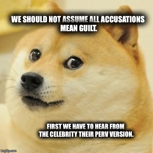 Doge Meme | WE SHOULD NOT ASSUME ALL
ACCUSATIONS MEAN GUILT. FIRST WE HAVE TO HEAR FROM THE CELEBRITY
THEIR PERV VERSION. | image tagged in memes,doge | made w/ Imgflip meme maker