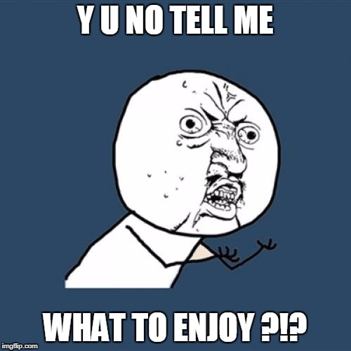 Y U No Meme | Y U NO TELL ME WHAT TO ENJOY ?!? | image tagged in memes,y u no | made w/ Imgflip meme maker