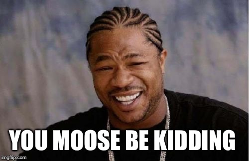 Yo Dawg Heard You Meme | YOU MOOSE BE KIDDING | image tagged in memes,yo dawg heard you | made w/ Imgflip meme maker