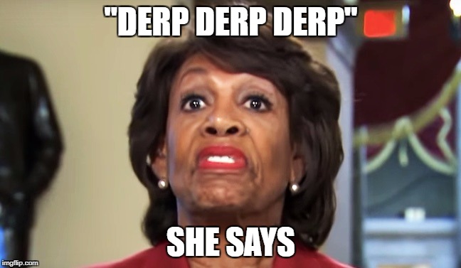 Maxine Waters | "DERP DERP DERP"; SHE SAYS | image tagged in maxine waters,libtard,democrat,ugly,stupid | made w/ Imgflip meme maker