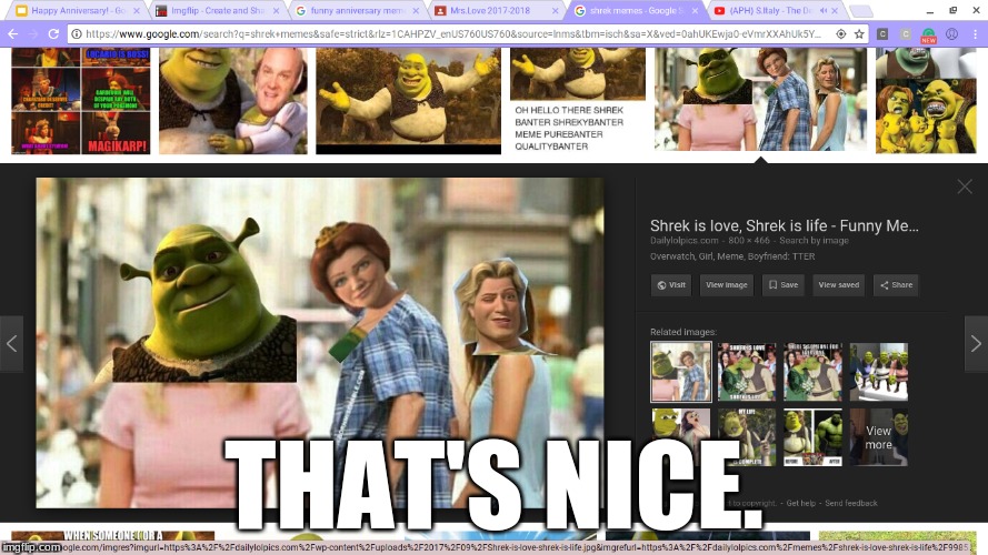 So I was just looking Shrek memes and look what I found! | THAT'S NICE. | image tagged in memes,shrek,guy looking at other girl | made w/ Imgflip meme maker