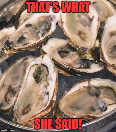 THAT'S WHAT SHE SAID! | made w/ Imgflip meme maker