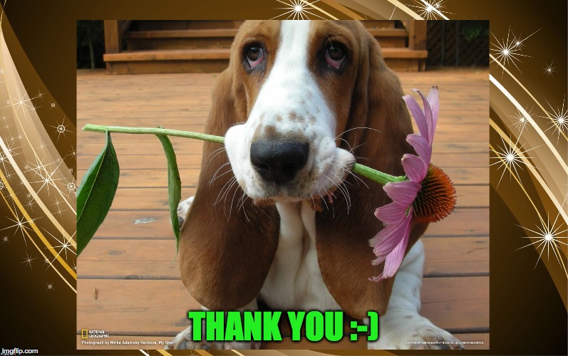 THANK YOU :-) | made w/ Imgflip meme maker