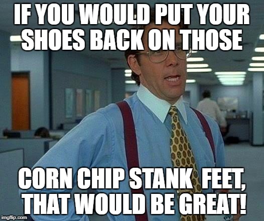 That Would Be Great | IF YOU WOULD PUT YOUR SHOES BACK ON THOSE; CORN CHIP STANK  FEET, THAT WOULD BE GREAT! | image tagged in memes,that would be great | made w/ Imgflip meme maker