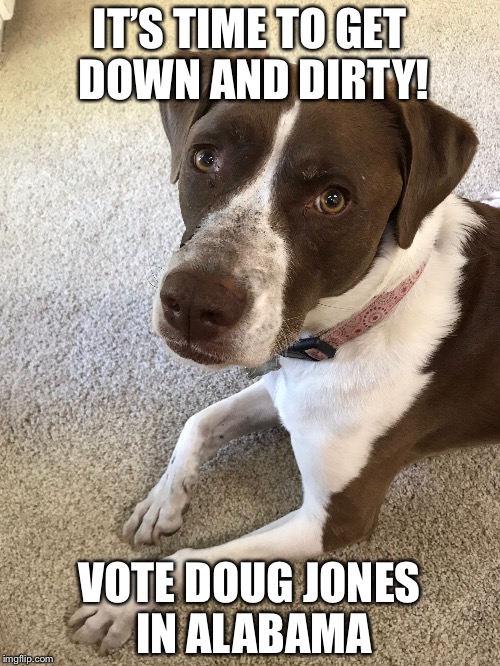 IT’S TIME TO GET DOWN AND DIRTY! VOTE DOUG JONES IN ALABAMA | image tagged in dogs,politics | made w/ Imgflip meme maker