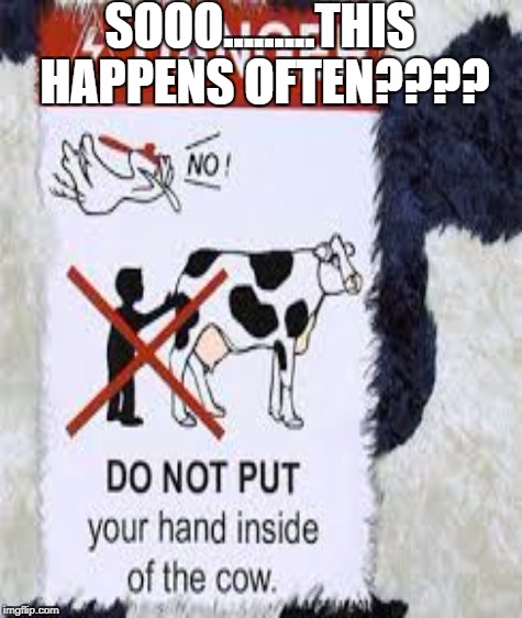 I think this may be an electronic cow, but still........ | SOOO.........THIS HAPPENS OFTEN???? | image tagged in cows,danger,weird | made w/ Imgflip meme maker