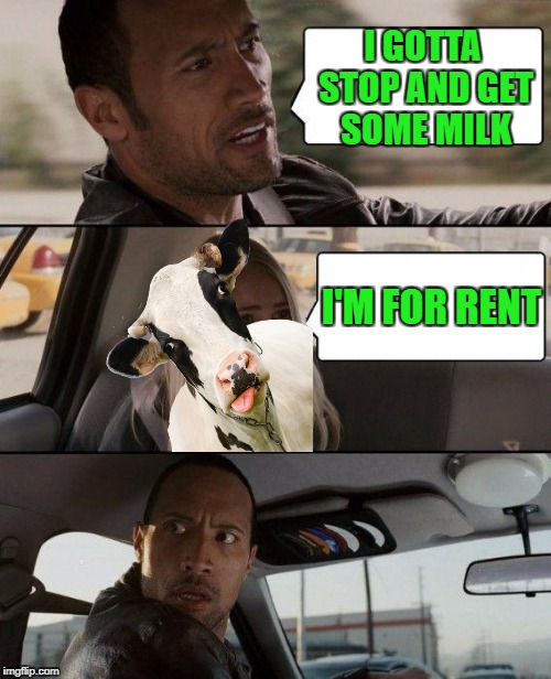 The Rock Driving Meme | I GOTTA STOP AND GET SOME MILK I'M FOR RENT | image tagged in memes,the rock driving | made w/ Imgflip meme maker