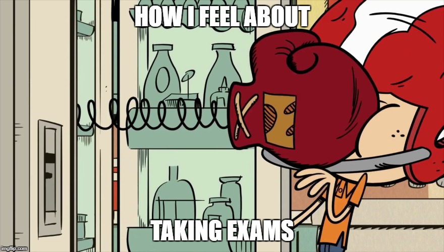 Test packs a punch | HOW I FEEL ABOUT; TAKING EXAMS | image tagged in the loud house,nickelodeon,exams,feels,punch | made w/ Imgflip meme maker