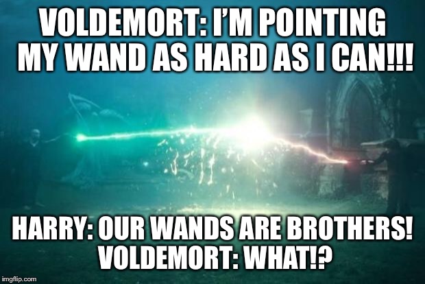 Harry Potter Voldemort Duel | VOLDEMORT: I’M POINTING MY WAND AS HARD AS I CAN!!! HARRY: OUR WANDS ARE BROTHERS! VOLDEMORT: WHAT!? | image tagged in harry potter voldemort duel | made w/ Imgflip meme maker