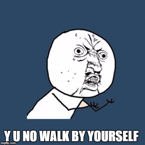 Y U No Meme | Y U NO WALK BY YOURSELF | image tagged in memes,y u no | made w/ Imgflip meme maker