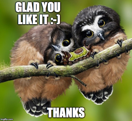 GLAD YOU LIKE IT :-) THANKS | made w/ Imgflip meme maker