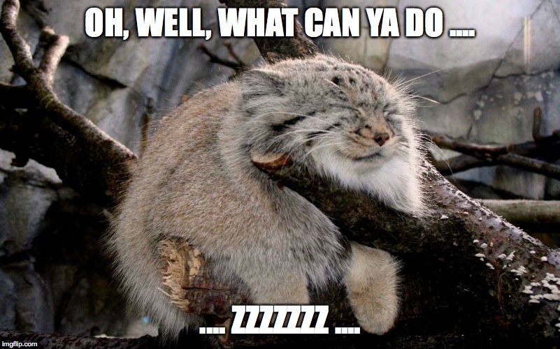 OH, WELL, WHAT CAN YA DO .... .... ZZZZZZZ .... | made w/ Imgflip meme maker
