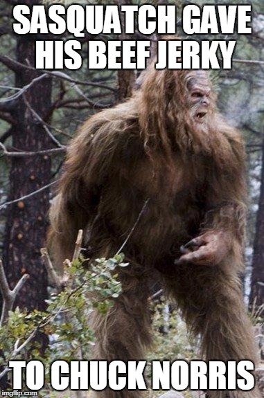 Sasquatch Beef Jerky | SASQUATCH GAVE HIS BEEF JERKY; TO CHUCK NORRIS | image tagged in sasquatch,beef jerky,chuck norris | made w/ Imgflip meme maker