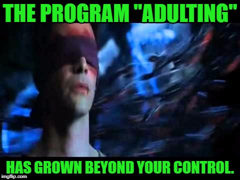 My Life: Revolutions | THE PROGRAM "ADULTING"; HAS GROWN BEYOND YOUR CONTROL. | image tagged in neo machine city,adulting,neo | made w/ Imgflip meme maker