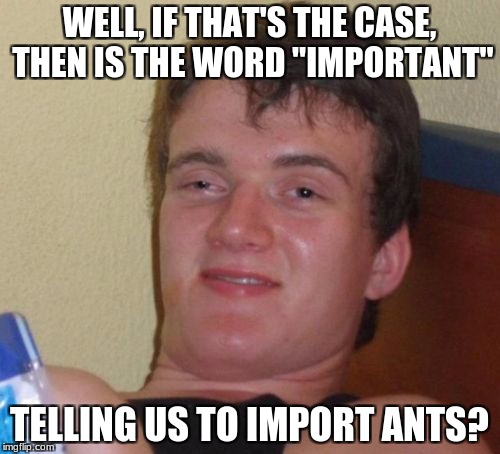 10 Guy Meme | WELL, IF THAT'S THE CASE, THEN IS THE WORD "IMPORTANT" TELLING US TO IMPORT ANTS? | image tagged in memes,10 guy | made w/ Imgflip meme maker