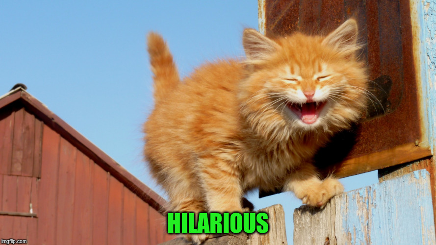 HILARIOUS | made w/ Imgflip meme maker