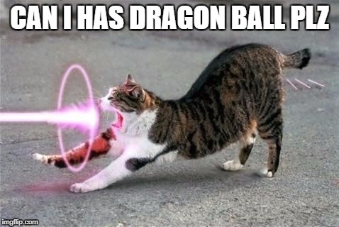 Kamehameha Cat | CAN I HAS DRAGON BALL PLZ | image tagged in kamehameha cat | made w/ Imgflip meme maker