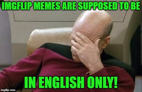Captain Picard Facepalm Meme | IMGFLIP MEMES ARE SUPPOSED TO BE IN ENGLISH ONLY! | image tagged in memes,captain picard facepalm | made w/ Imgflip meme maker