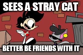 SEES A STRAY CAT; BETTER BE FRIENDS WITH IT | image tagged in cartoon logic week | made w/ Imgflip meme maker