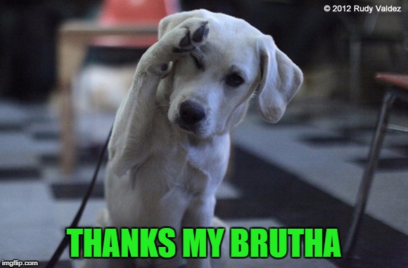 THANKS MY BRUTHA | made w/ Imgflip meme maker