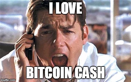 JERRY MAGUIRE | I LOVE; BITCOIN CASH | image tagged in jerry maguire | made w/ Imgflip meme maker