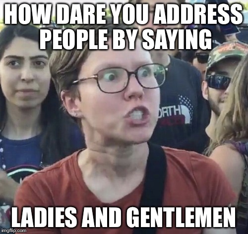 Triggered feminist | HOW DARE YOU ADDRESS PEOPLE BY SAYING; LADIES AND GENTLEMEN | image tagged in triggered feminist | made w/ Imgflip meme maker