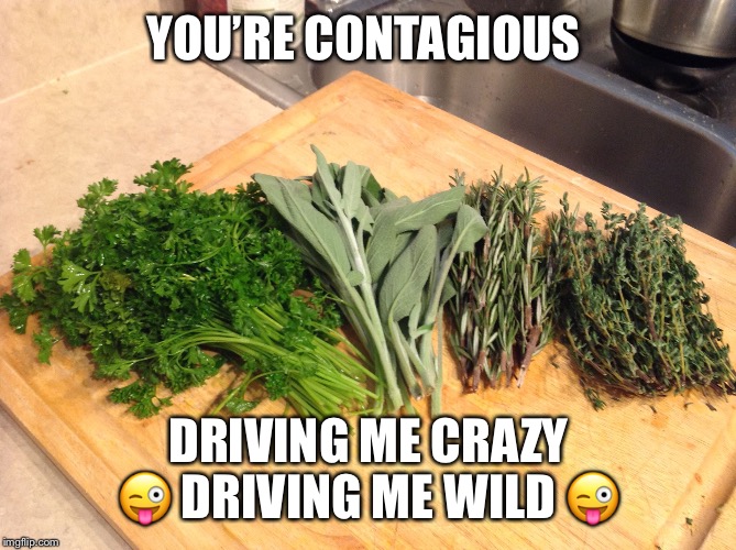 laid-back herbs | YOU’RE CONTAGIOUS; DRIVING ME CRAZY 😜 DRIVING ME WILD 😜 | image tagged in laid-back herbs | made w/ Imgflip meme maker