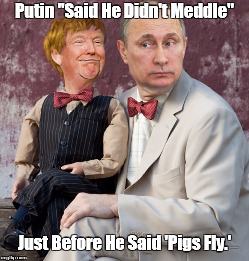 "No Epithet Strong Enough Deplorable Donald" | Putin "Said He Didn't Meddle"; Just Before He Said 'Pigs Fly.' | image tagged in deplorable donald,despicable donald,dishonorable donald,delusional donald,donald dick,dishonest donald | made w/ Imgflip meme maker