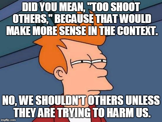 Futurama Fry Meme | DID YOU MEAN, "TOO SHOOT OTHERS," BECAUSE THAT WOULD MAKE MORE SENSE IN THE CONTEXT. NO, WE SHOULDN'T OTHERS UNLESS THEY ARE TRYING TO HARM  | image tagged in memes,futurama fry | made w/ Imgflip meme maker